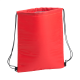 Picture of COOL BAG in Red
