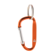 Picture of KEYRING in Orange