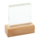 Picture of TROPHY AWARD in Natural