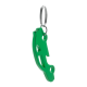 Picture of KEYRING in Green