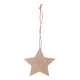 Picture of CHRISTMAS TREE ORNAMENT, STAR in Natural