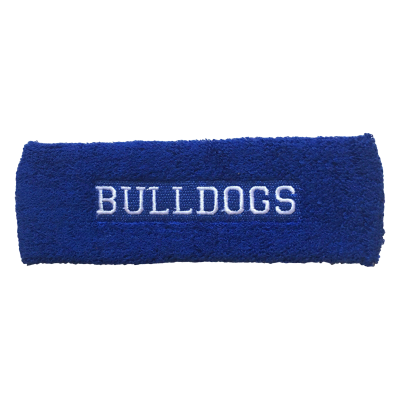 Picture of HEAD SWEATBAND