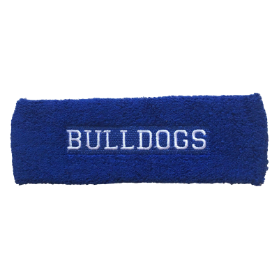 Picture of HEAD SWEATBAND.