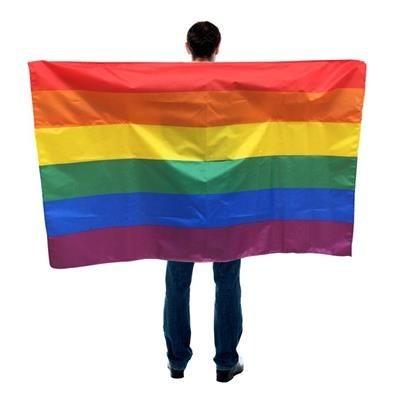 Picture of 5 X 3 RAINBOW FLAG