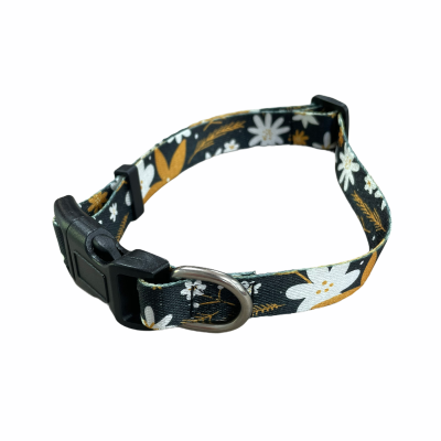 Picture of RECYCLED PET DOG COLLAR.