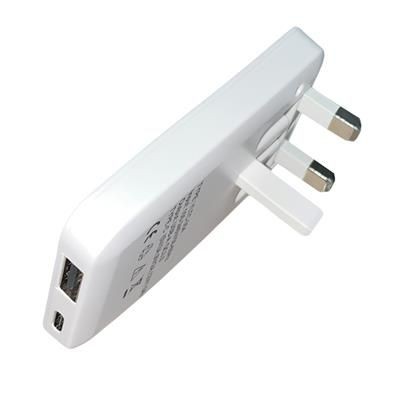 Picture of USB AND USB-C FOLDING PLUG