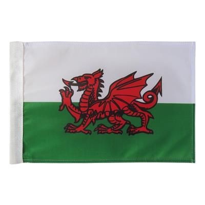 Picture of PIN HOLE FLAGS