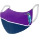 Picture of DELUXE FACE MASK