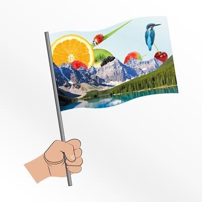 Picture of LARGE FABRIC HAND WAVING FLAG