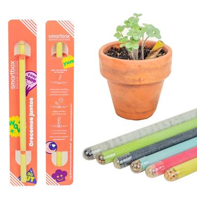 Picture of ELM ECO FRIENDLY PLANTABLE SEEDS PENCIL