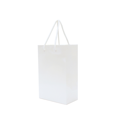 Picture of WALTON A5 GLOSS LAMINATED PAPER CARRIER BAG.