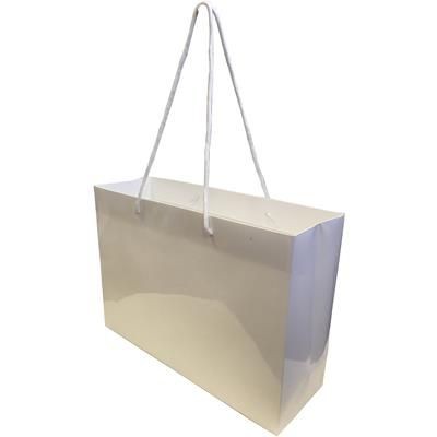 Picture of LARGE LANDSCAPE LAMINATED PAPER CARRIER BAG.