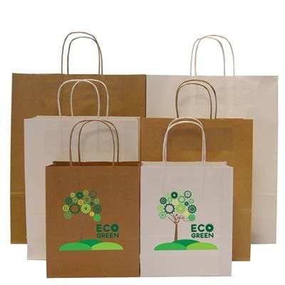 Picture of HARDWICK A5 SMALL KRAFT PAPER BAG with Twisted Handles.