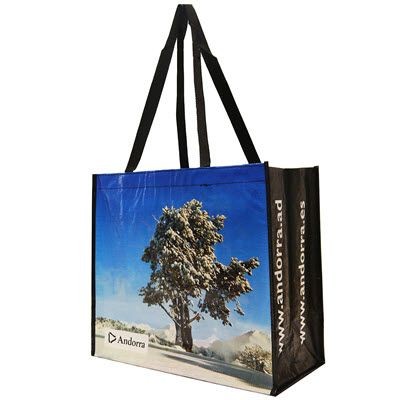 Picture of KNOWSLEY GLOSSY LAMINATED WOVEN PP BAG FOR LIFE with Long Handles