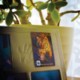 Picture of CREDIT CARD FRIDGE MAGNET
