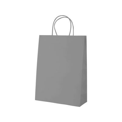 Picture of MALL PAPER BAG
