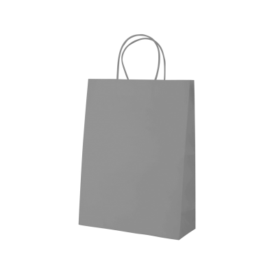 Picture of MALL PAPER BAG.