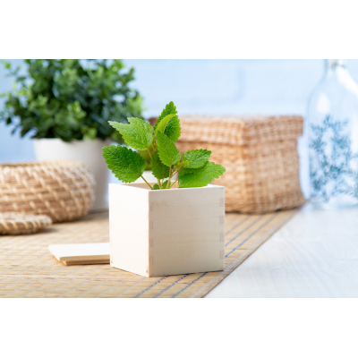 Picture of MERIN MINTS HERB POT