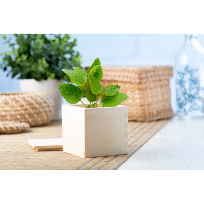 Picture of MERIN MINTS HERB POT.