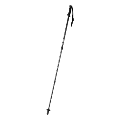 Picture of BRULEN NORDIC WALKING STICK
