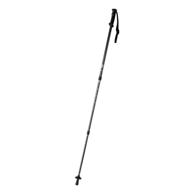 Picture of BRULEN NORDIC WALKING STICK.