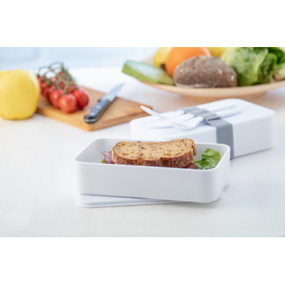 Picture of FANDEX ANTIBACTERIAL LUNCH BOX