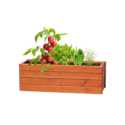 Picture of TOMARUX HERB GROWING KIT
