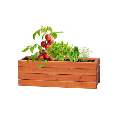 Picture of TOMARUX HERB GROWING KIT.