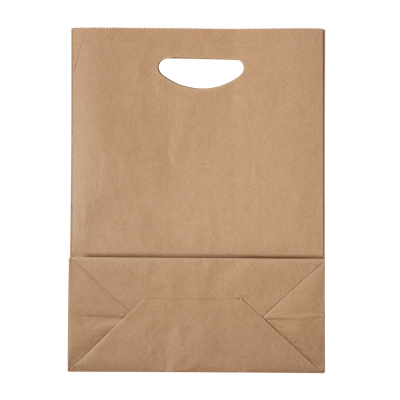 Picture of HASPUN PAPER BAG.