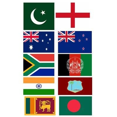 Picture of CRICKET WORLD CUP 2019 BUNTING