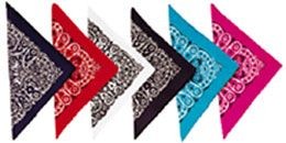 Picture of LARGE BANDANA with Assorted Paisley Design