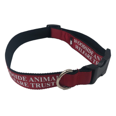 Picture of PRINTED SATIN APPLIQUE DOG COLLAR
