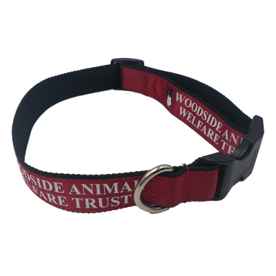 Picture of PRINTED SATIN APPLIQUE DOG COLLAR.