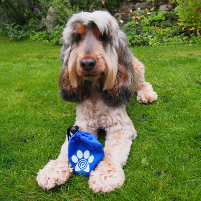 Picture of DOG TREAT BAG.