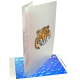 Picture of POLYPROPYLENE RING BINDER (UK STOCK: FROSTED CLEAR)
