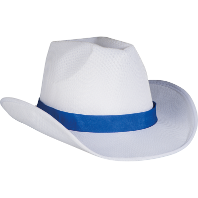 Picture of HAT BALDWIN in Blue 