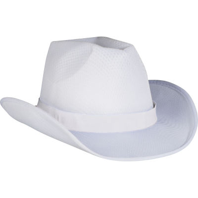 Picture of HAT BALDWIN in White 