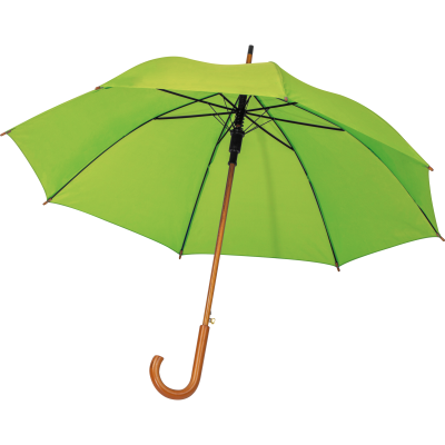Picture of AUTOMATIC UMBRELLA HASSELT in Apple Green 