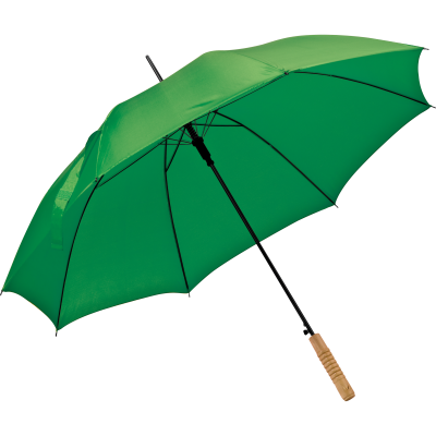 Picture of AUTOMATIC WALKING-STICK UMBRELLA LE MANS in Green 