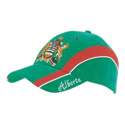 Picture of BRUSHED HEAVY COTTON with Embroidered Peak Insert