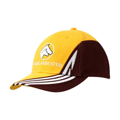 Picture of BRUSHED HEAVY COTTON with Fabric Insert & Embroidered Design on Crown & Peak