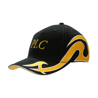 Picture of BRUSHED HEAVY COTTON with Sandwich Trim & Embroidery Design on Crown & Peak