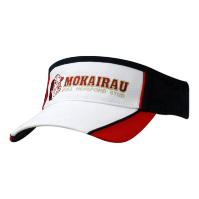 Picture of BRUSHED HEAVY COTTON TRI COLOUR VISOR