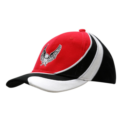 Picture of BRUSHED HEAVY COTTON with Insert & Embroidery on Crown & Peak