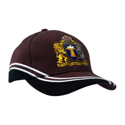 Picture of BRUSHED HEAVY COTTON with Inserts & Embroidery on Crown & Peak