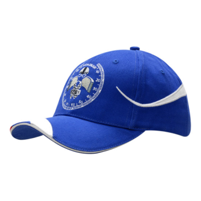 Picture of BRUSHED HEAVY COTTON with Fabric Insert & Embroidery on Crown & Peak