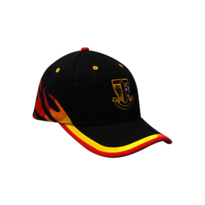 Picture of BRUSHED HEAVY COTTON with Flame Embroidery on Crown & Peak