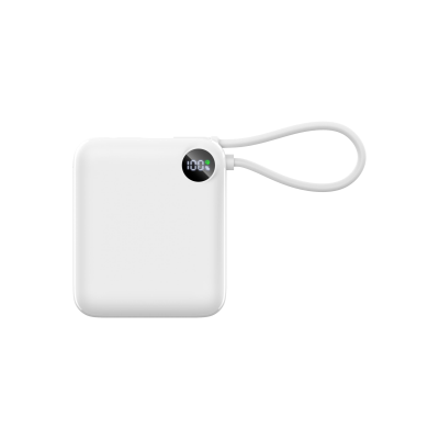 Picture of P103 €“ 10,000MAH PD3