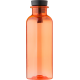 Picture of ECOFLOW DRINK BOTTLE in Orange