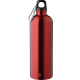 Picture of RECYCLED SINGLE WALLED BOTTLE (750 ML) in Red